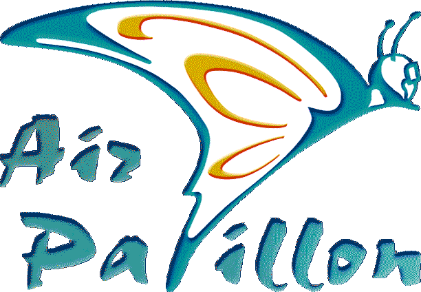 Air-Papillon Logo
